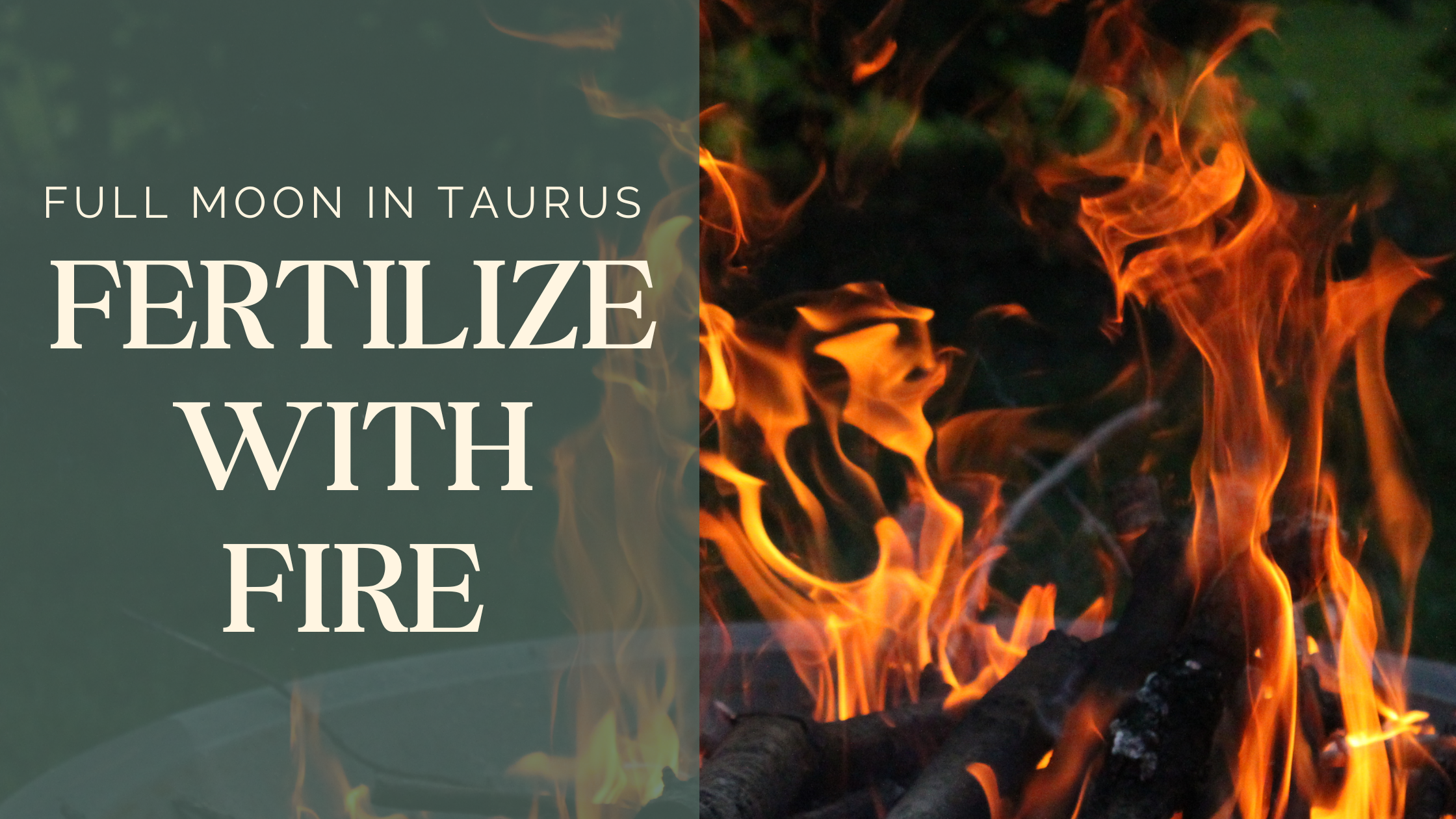 Full Moon in Taurus: Fertilize With Fire