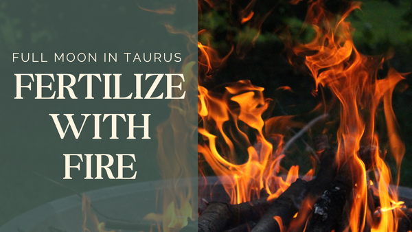 Full Moon in Taurus: Fertilize With Fire
